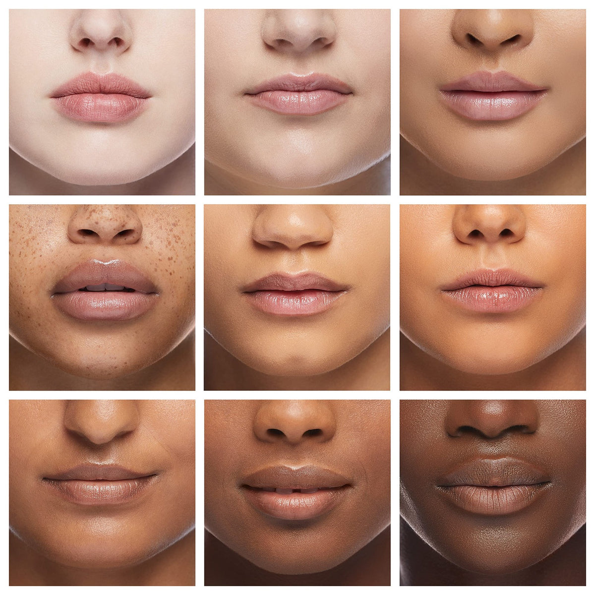 Natural Lip Balm Set with Coconut Oil & Vitamin E - 12 Flavors, Bulk Moisturizer for Dry Lips