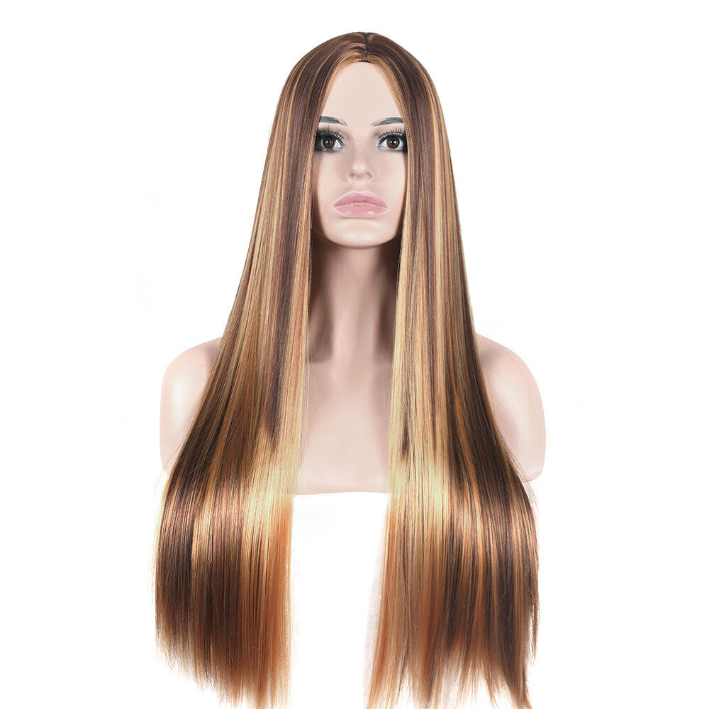 Brazilian Straight Human Hair Wig Ombre Brown Honey Blonde 70cm