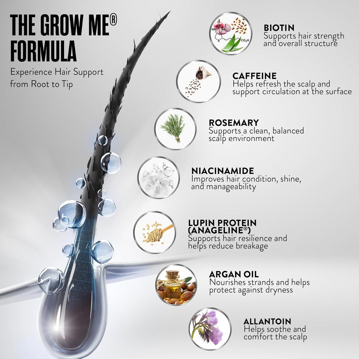 Organic Hair Growth Shampoo for Men & Women - Strengthening Natural