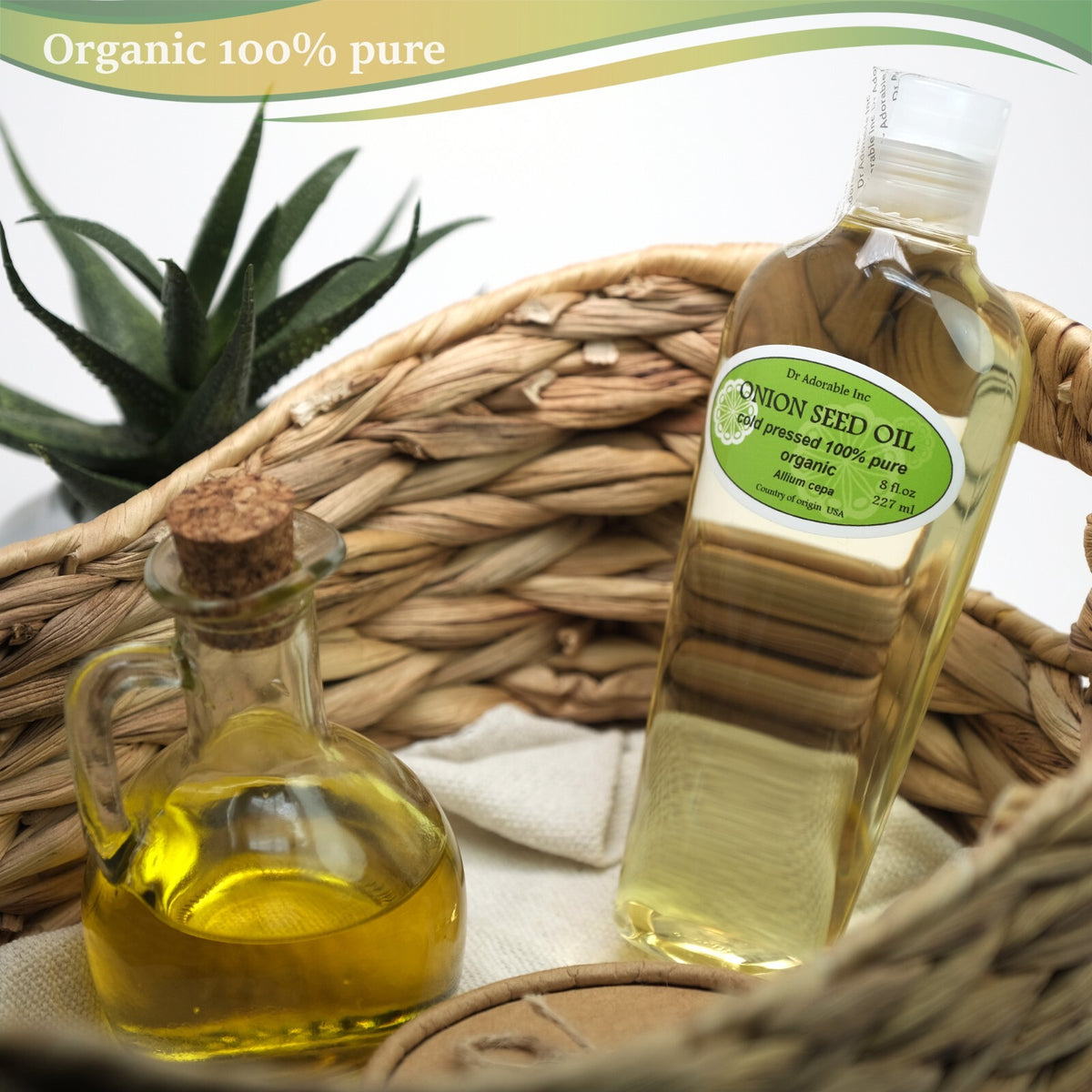 Organic Onion Seed Oil for Hair & Skin Care - Cold Pressed, 2oz to 7lb