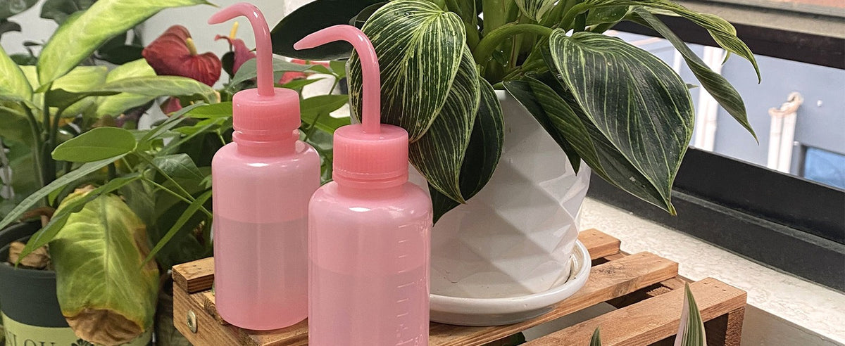 150ML Pink Squeeze Water Bottle for Lash Extensions & Travel