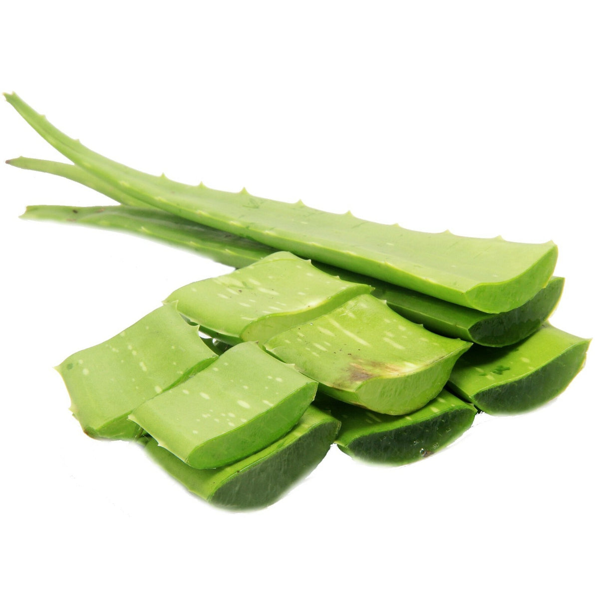 Pure Aloe Vera Gel for Face & Body, All Sizes
