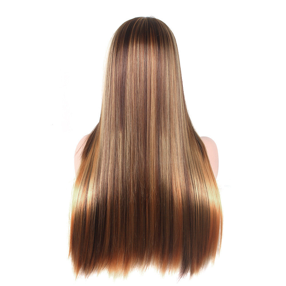 Brazilian Straight Human Hair Wig Ombre Brown Honey Blonde 70cm