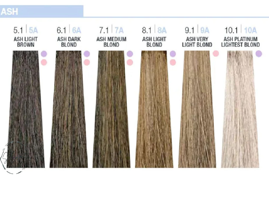 MilkShake 9 Minutes Quick Permanent Hair Color 3.4oz