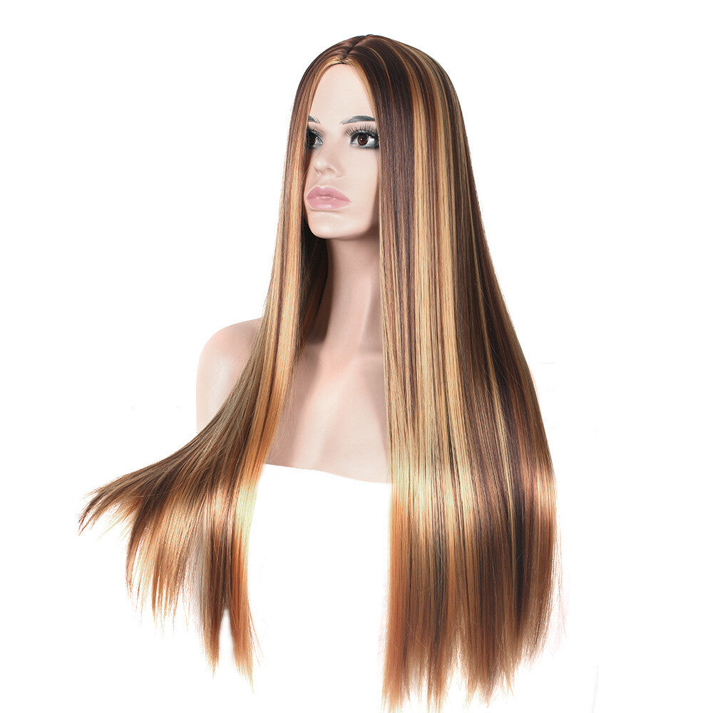 Brazilian Straight Human Hair Wig Ombre Brown Honey Blonde 70cm