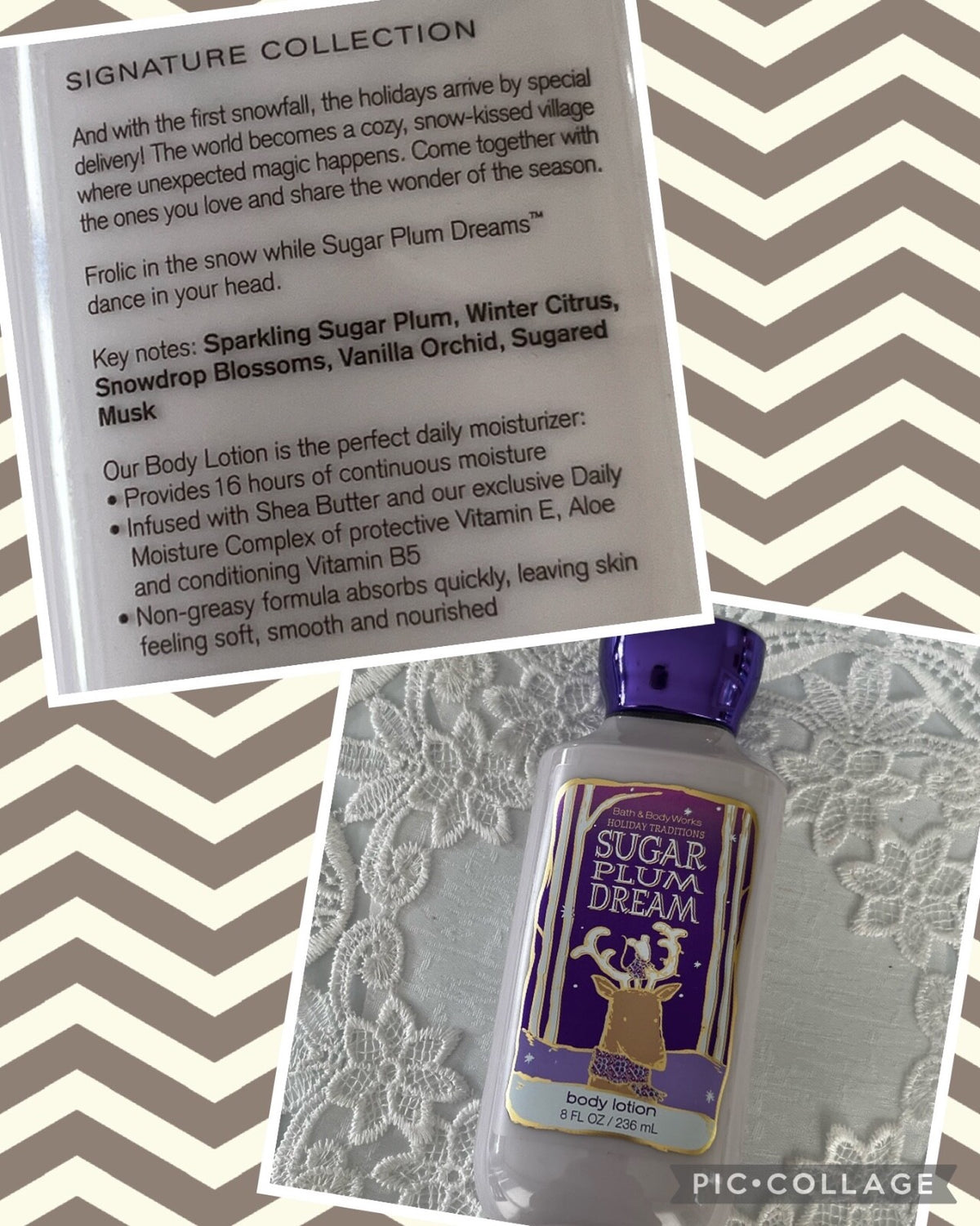 8 oz Shea Butter Body Lotion Moisturizer