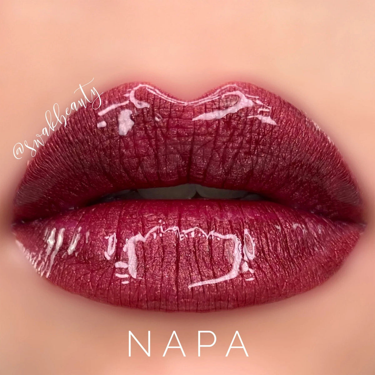 Long-Lasting Lip Color & Gloss Set - All Shades, Smudge-Proof & Waterproof