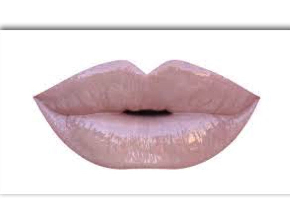 Elegant Pink Lip Gloss in Gold Box - Snatched Shine Lip Makeup