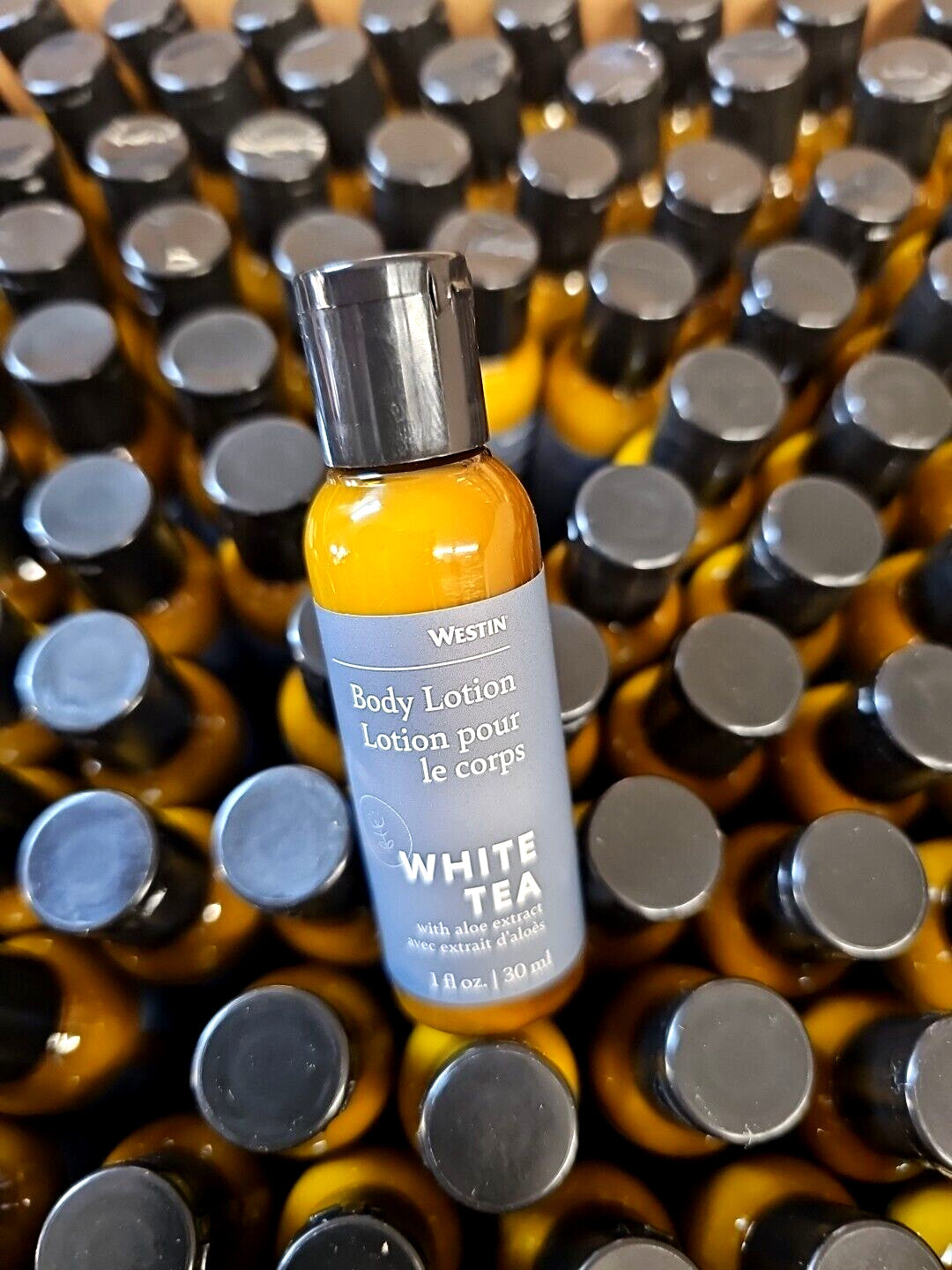 White Tea Body Lotion Travel Size - 7 Pack (1oz Each)