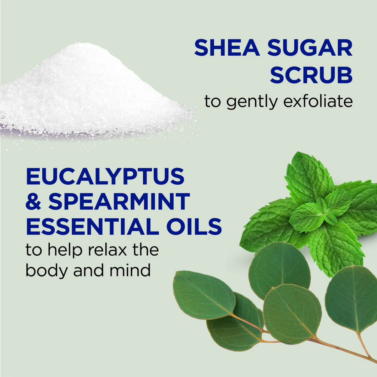 Dr Teal's Shea Sugar Body Scrub Eucalyptus and Spearmint, 19 oz -