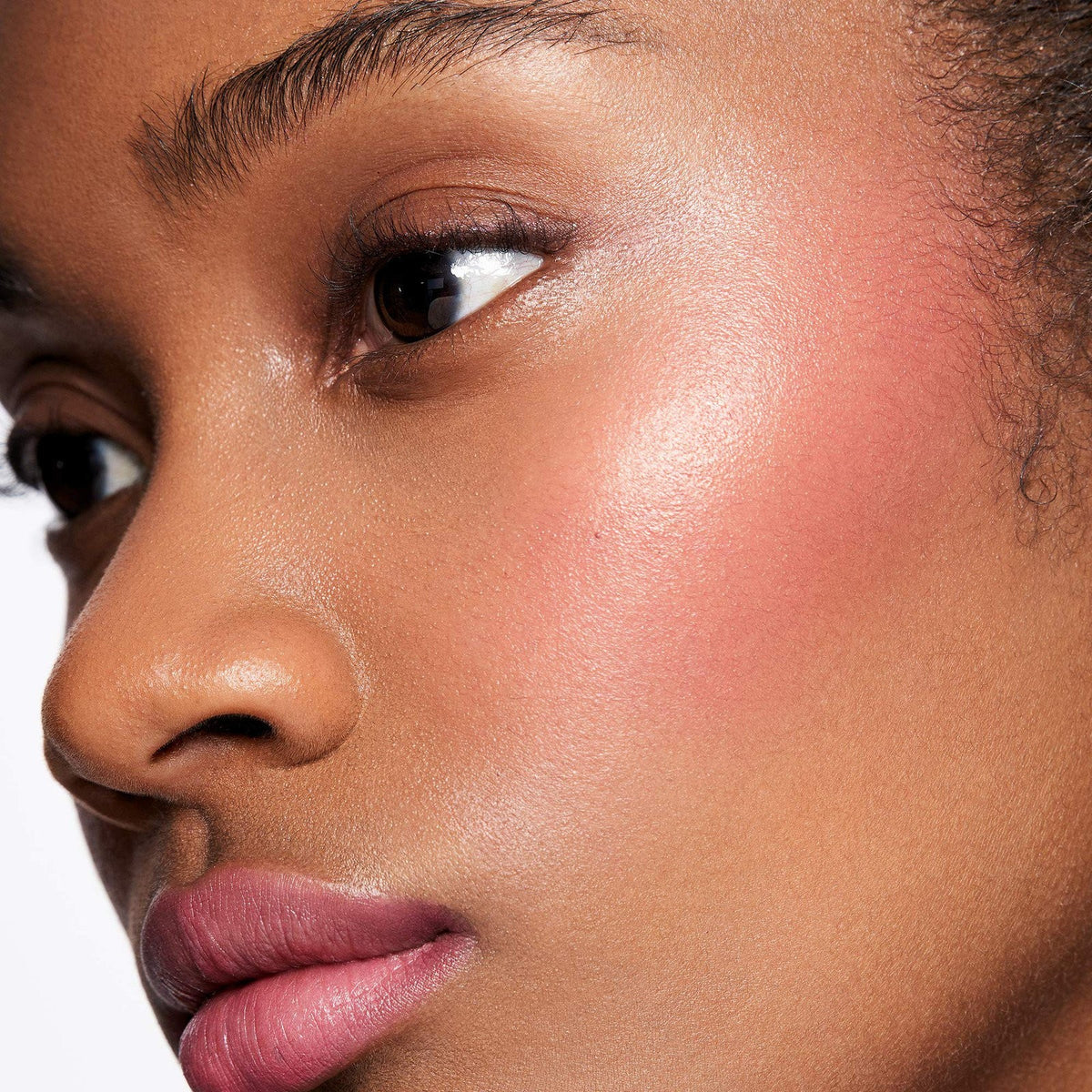 Stila Lip & Cheek Stick Sheer Petunia - Dual Lip and Blush Makeup
