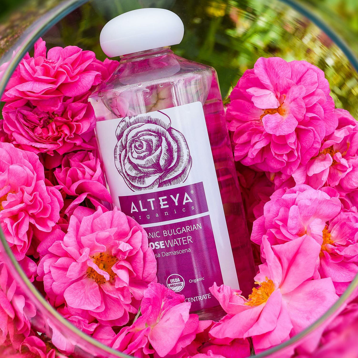 Organic Rose Water - Pure Bulgarian Floral Hydrosol for Skin Care & Sensitive Skin