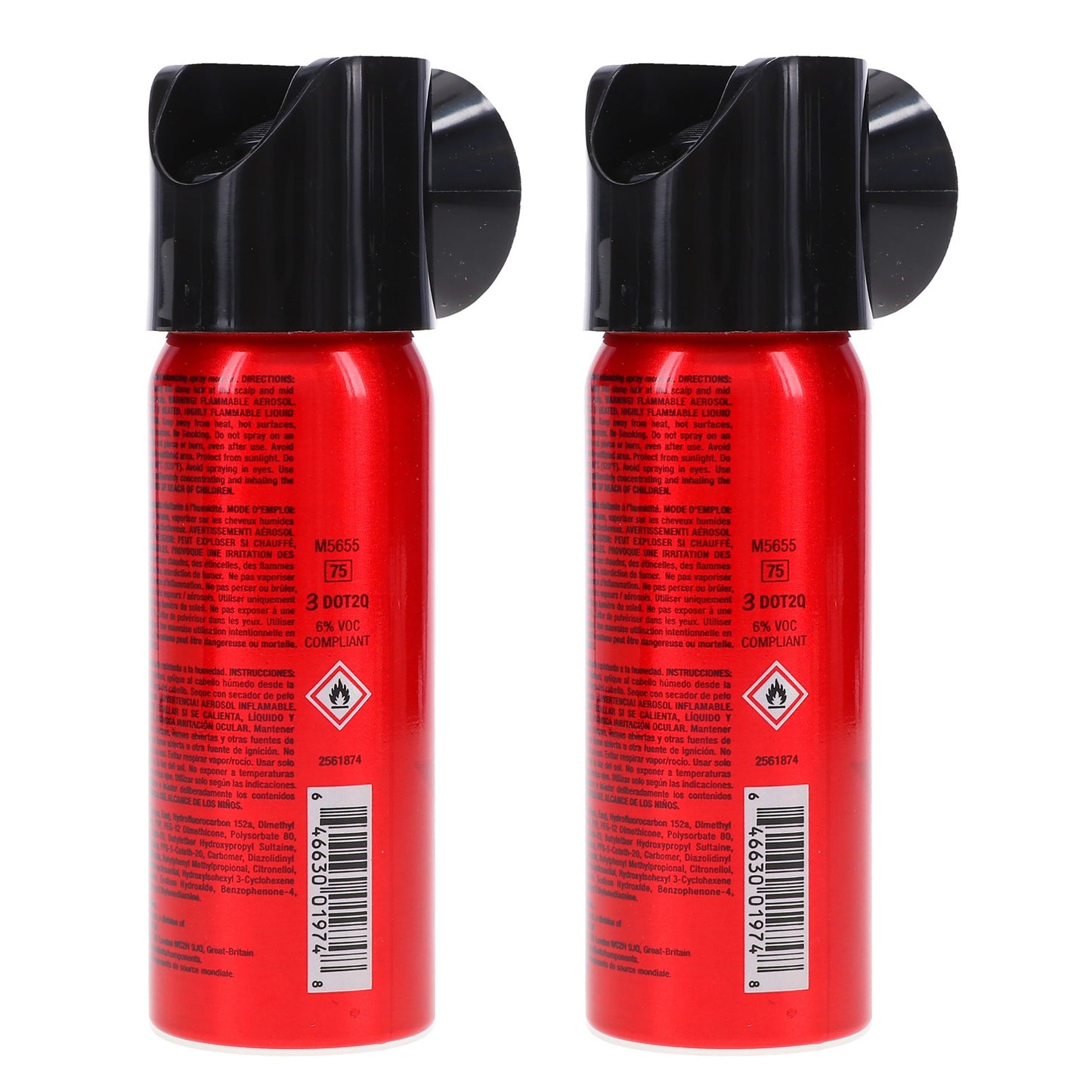 Volumizing Hair Spray for Fine Hair - Humidity Resistant Root Pump Mousse