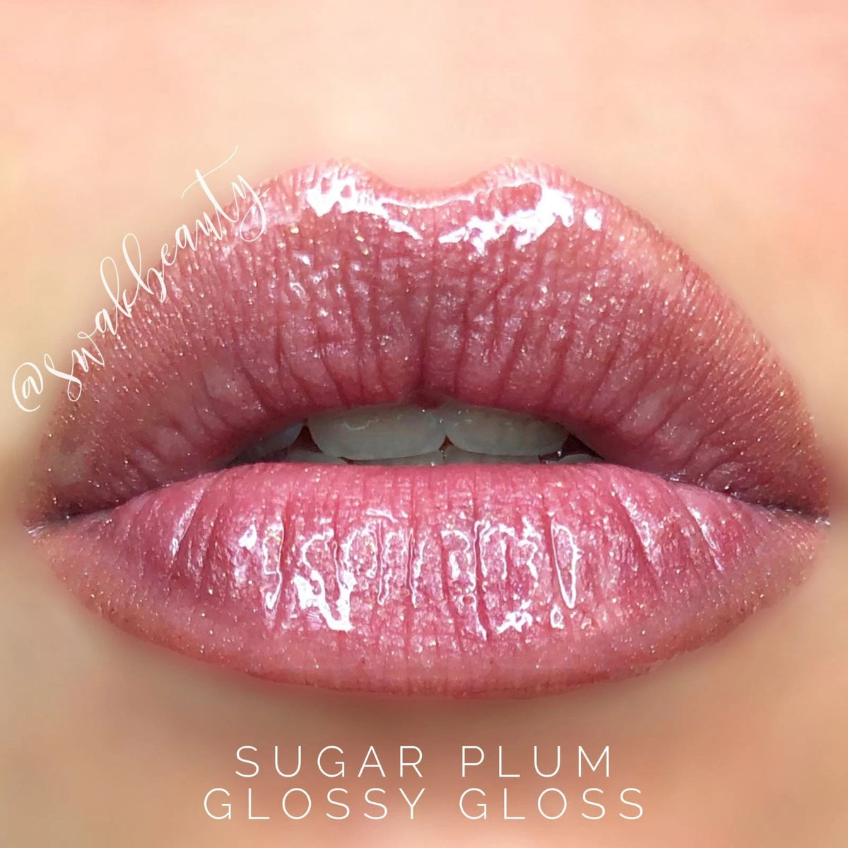 Long-Lasting Lip Color & Gloss Set - All Shades, Smudge-Proof & Waterproof