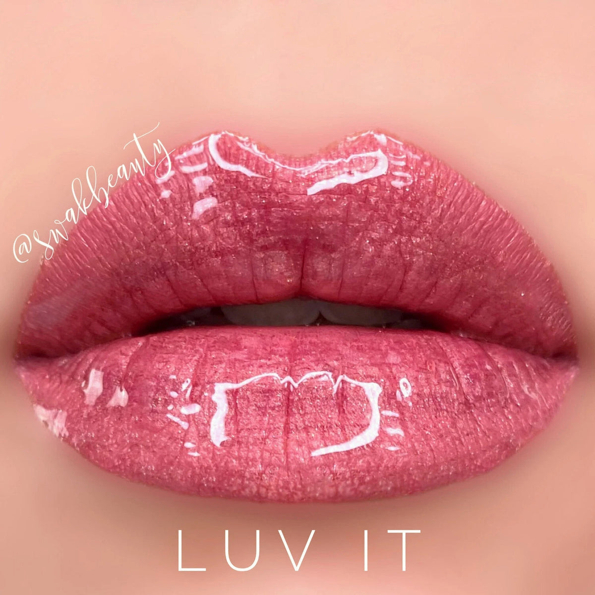 Long-Lasting Lip Color & Gloss Set - All Shades, Smudge-Proof & Waterproof