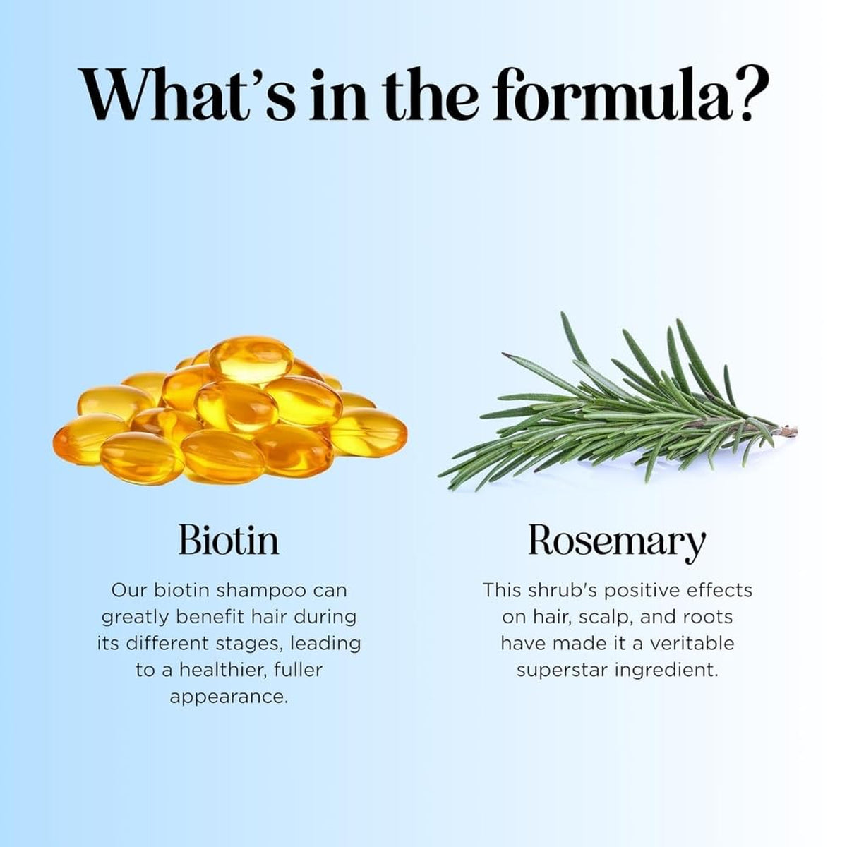 Thinning Hair Shampoo Rosemary Biotin Vegan Volumizing Fine B Vitamins