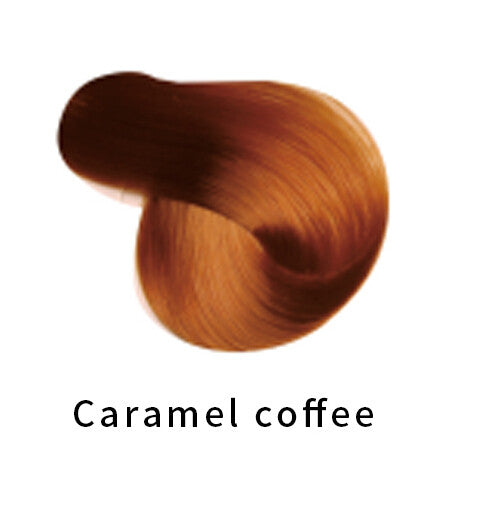 Color Hair Shampoo Instant Hair Dye Argan Oil Ammonia Free