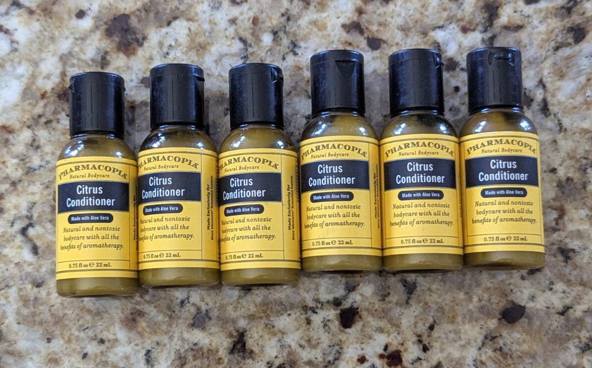 Travel Conditioner Set - 6 Travel Size Bottles with Aloe Vera for Hair Care
