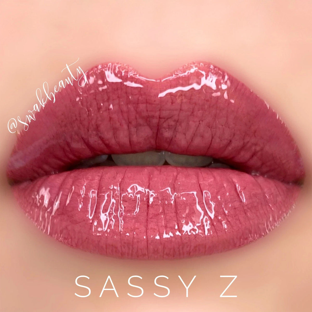 Long-Lasting Lip Color & Gloss Set - All Shades, Smudge-Proof & Waterproof