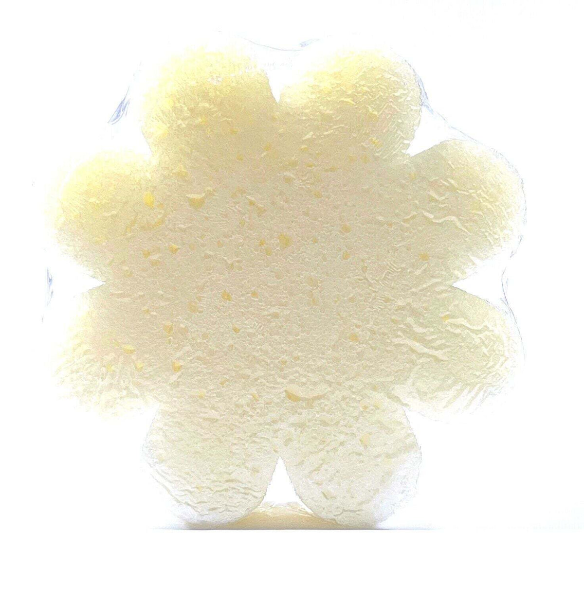 SPONGELLE PIKAKE BLOOM~BODY WASH INFUSED