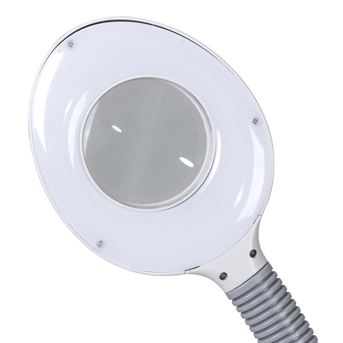 Professional 3-in-1 Facial Steamer with Magnifying Lamp Hot & Cold Mist