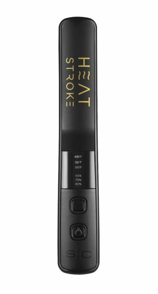 Wireless Beard & Hair Styling Hot Brush with Heat Settings & Power Bank