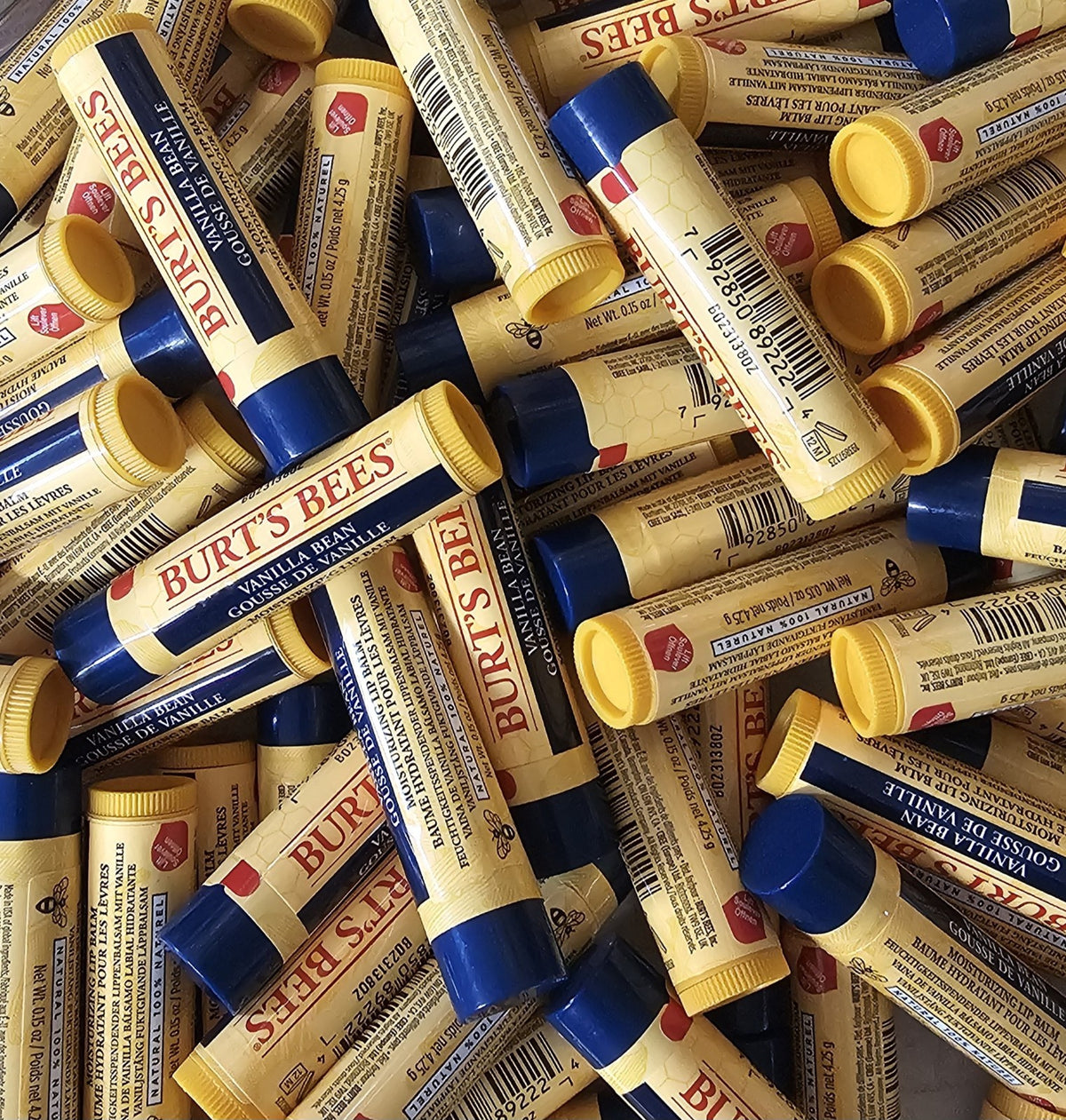 Bulk 25 Vanilla Bean Lip Balm Chapstick - Original Formula, Loose