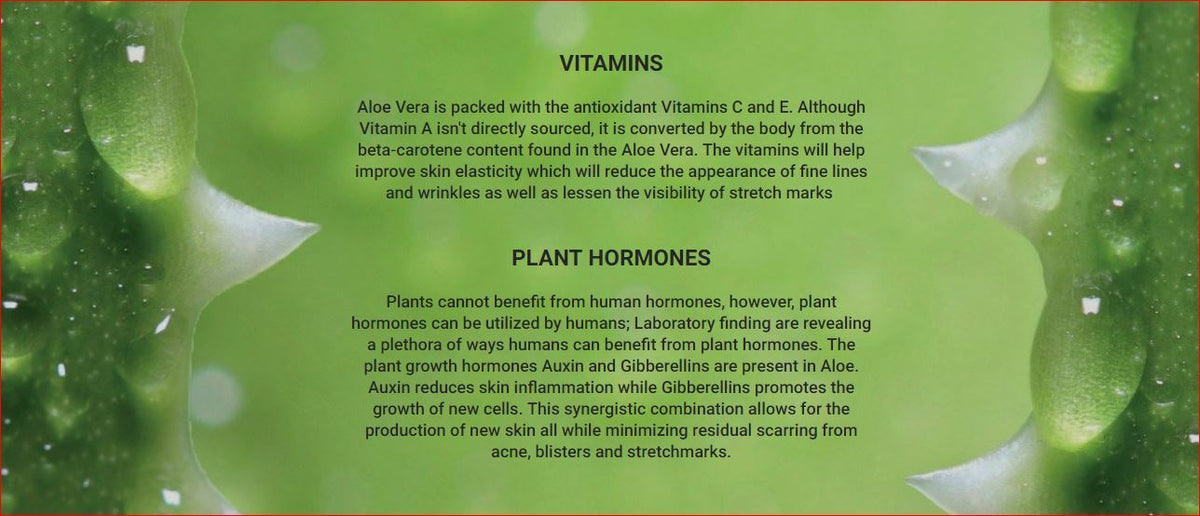 Pure Organic Aloe Vera Thick Gel Moisturizer