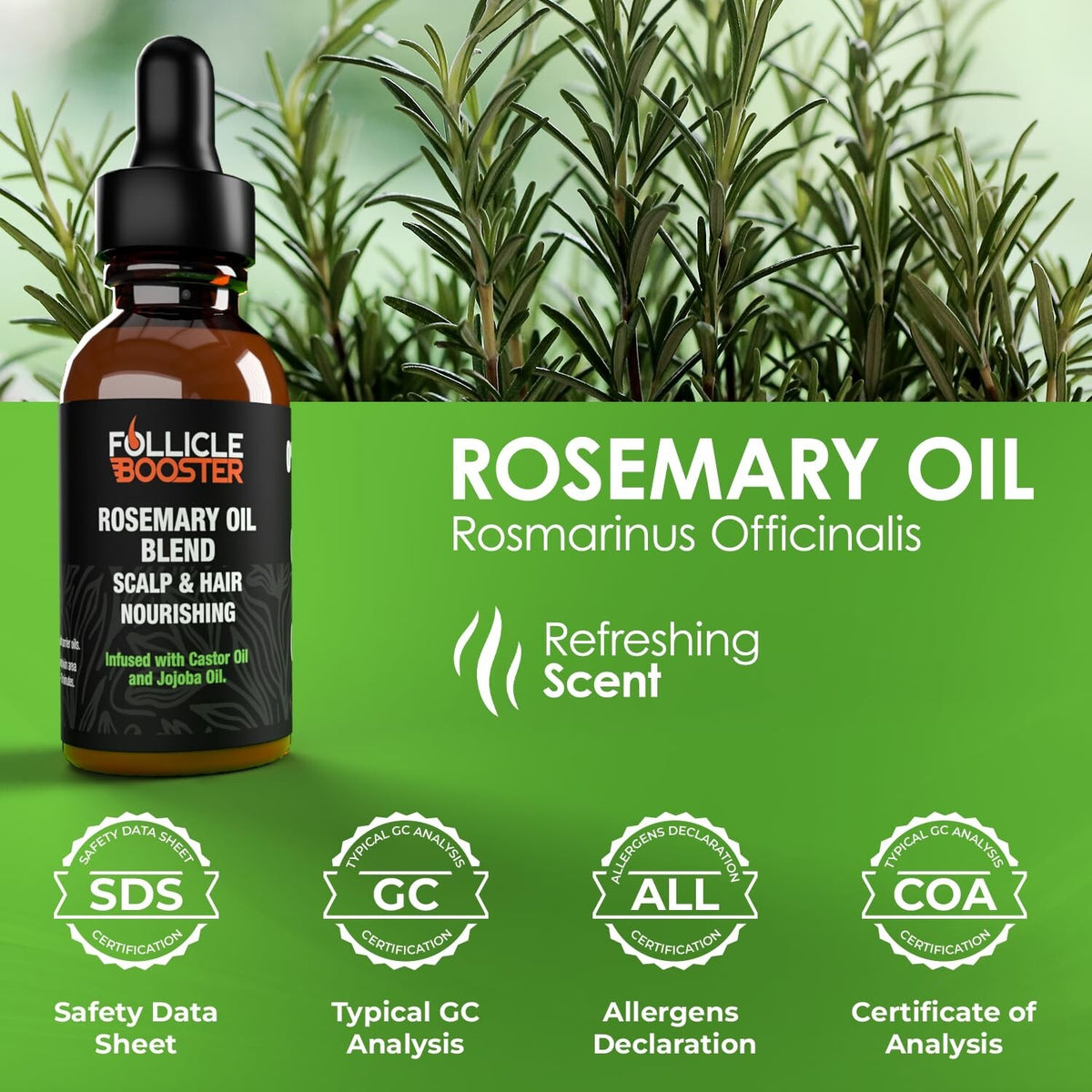 Hair & Beard Growth Serum - Rosemary Oil Blend 2oz (Pack of 6)