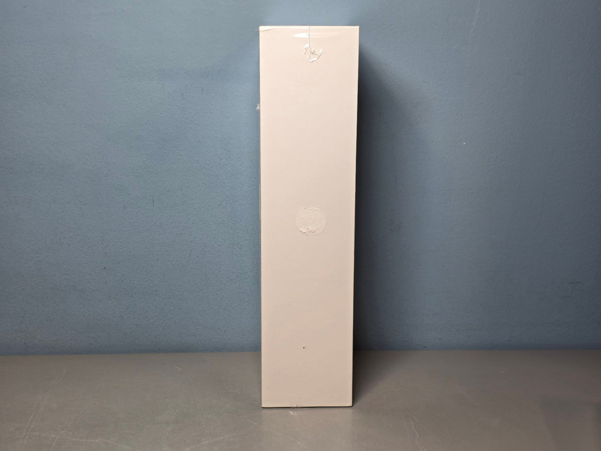Negative Ionic Travel Hair Dryer 1500W - Black, High-Speed & Compact