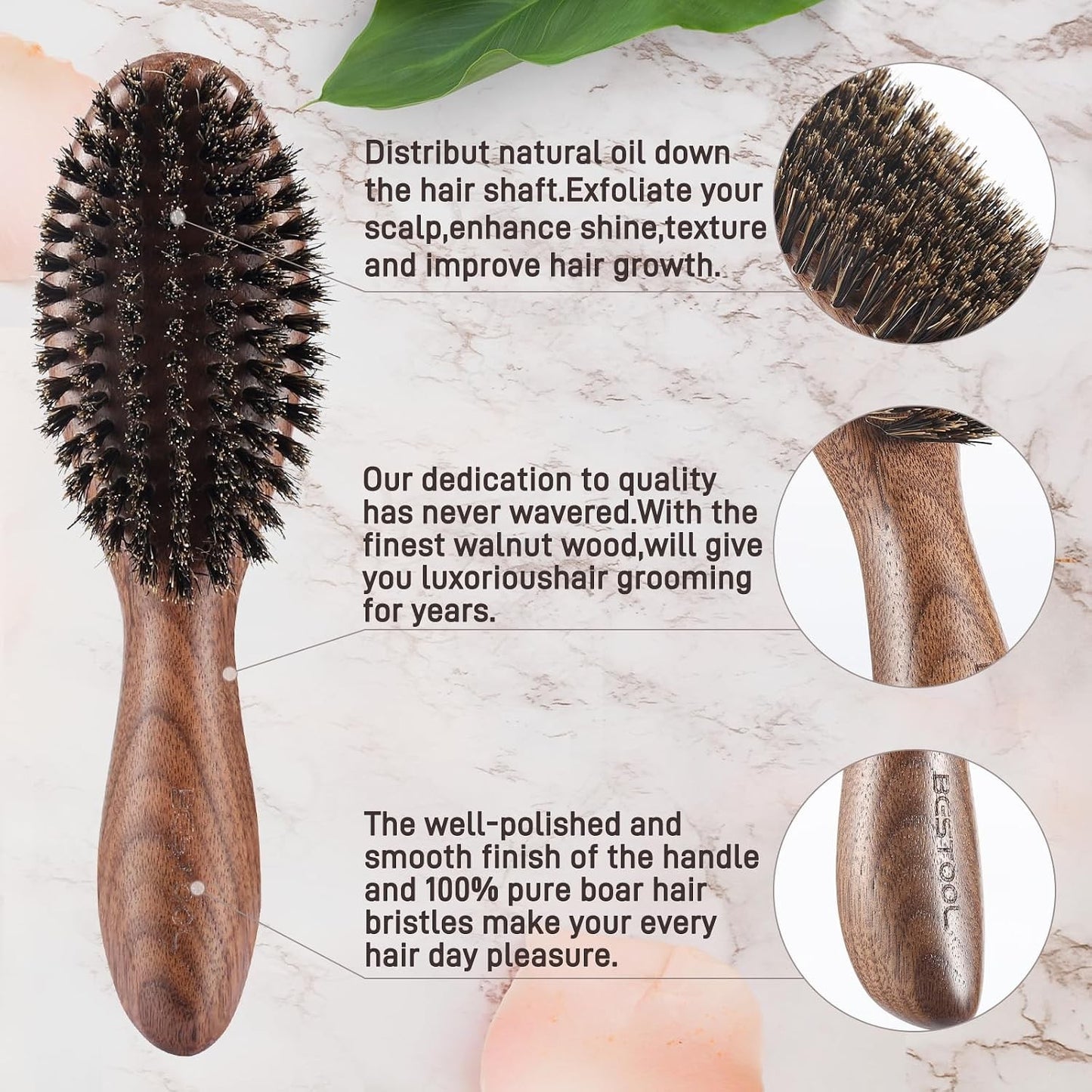 Natural Walnut Wood Boar Bristle Hair Brush for Women and Men
