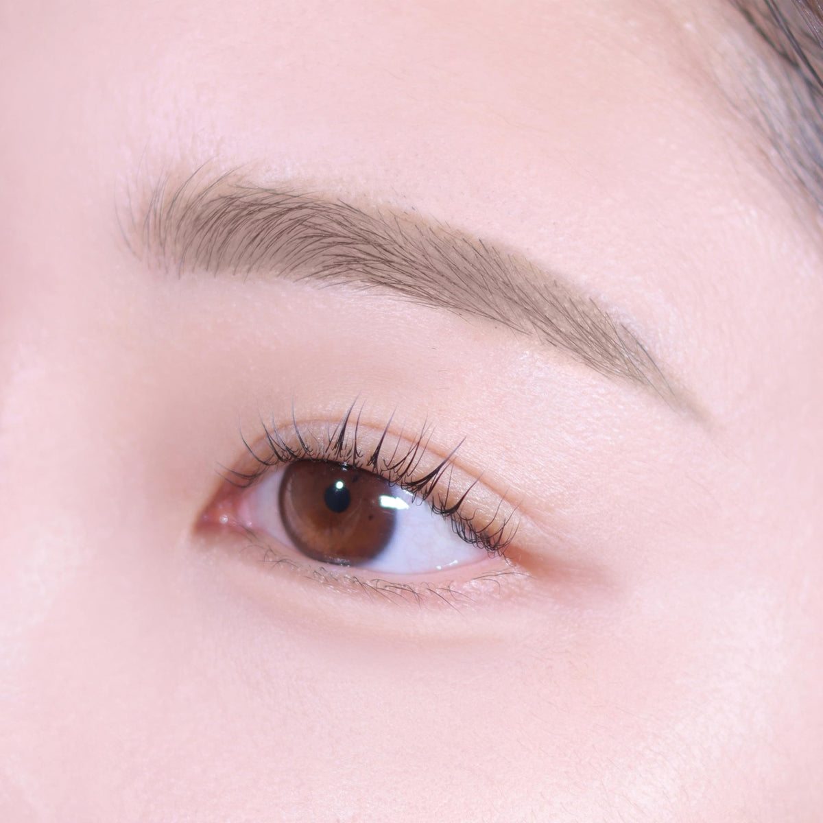 Eyebrow Pencil for Natural Fine Lines - Light Taupe, Easy Shaping