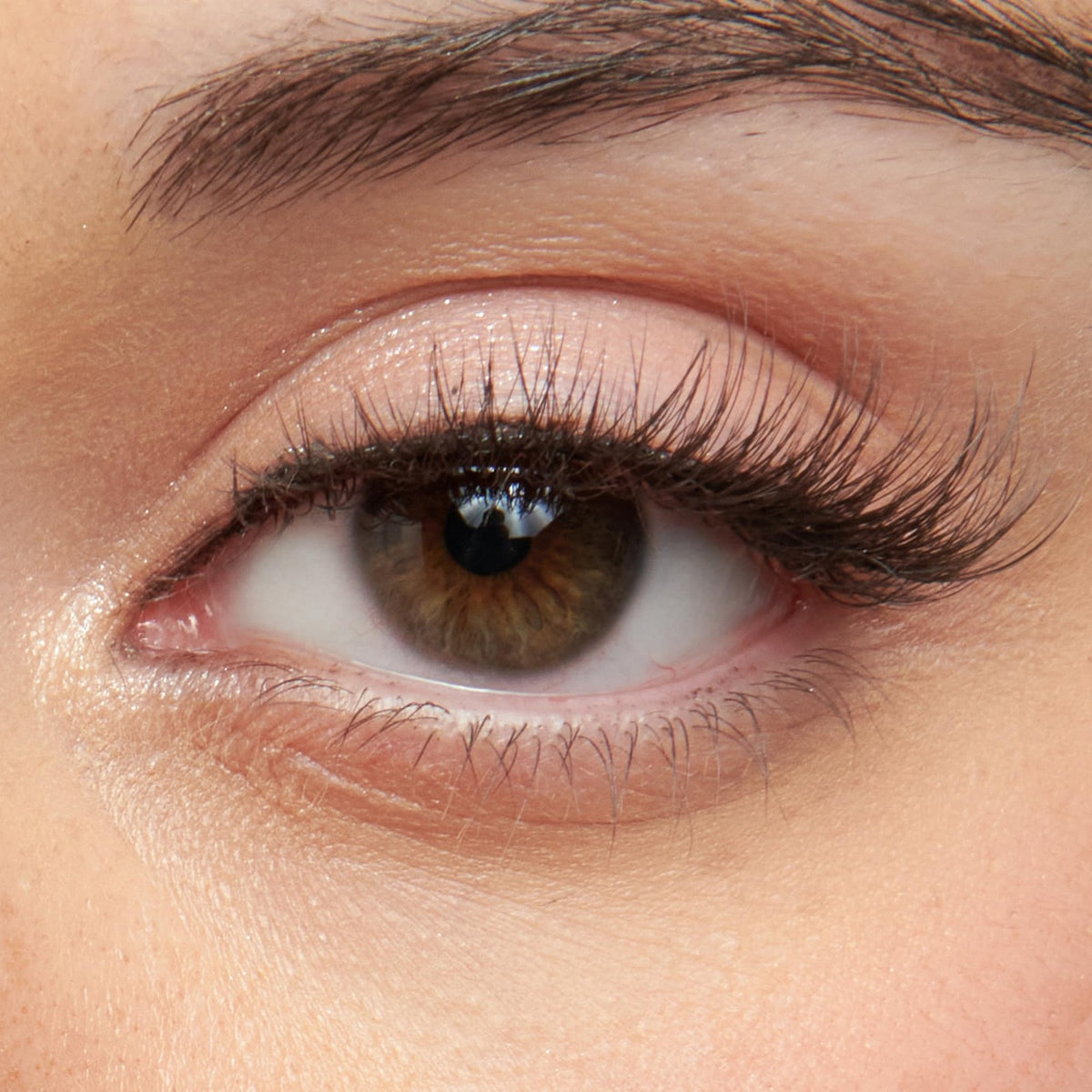 False Eyelashes 12mm Clusters - Reusable Wispy Lash Set, 5 Pairs