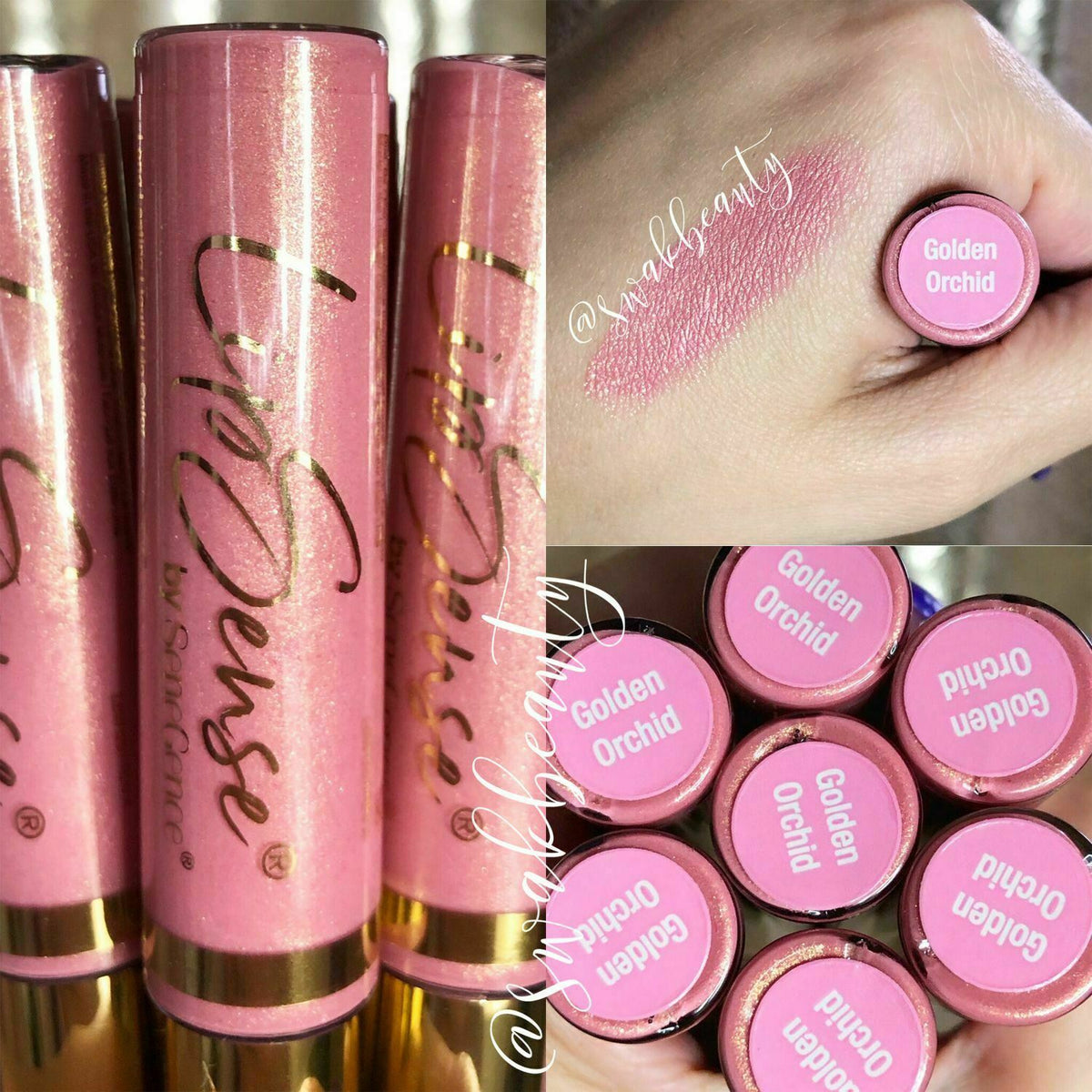 Long-Lasting Lip Color & Gloss Set - All Shades, Smudge-Proof & Waterproof