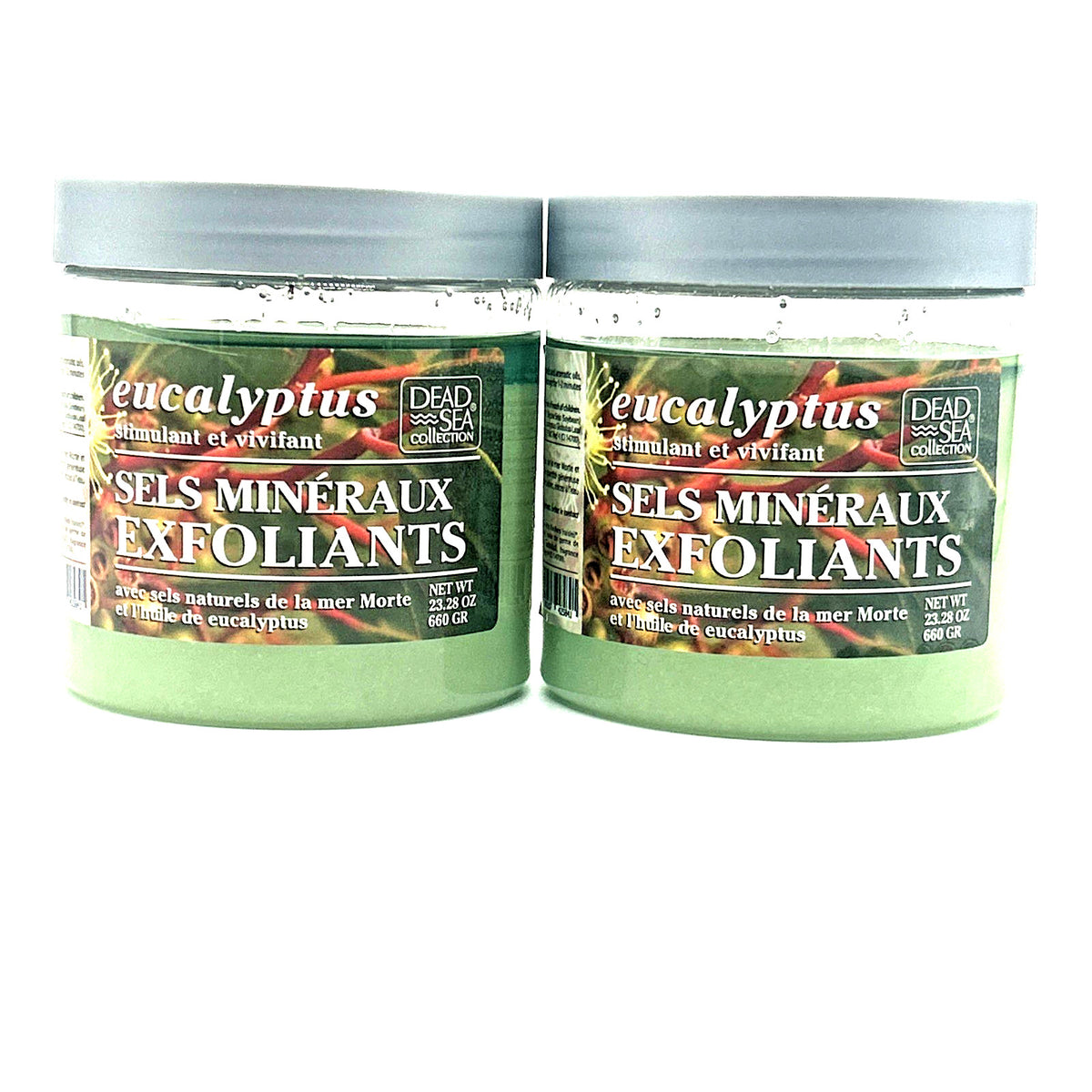 Dead Sea Collection Eucalyptus Exfoliating Mineral Salt Scrub, 2-Pack