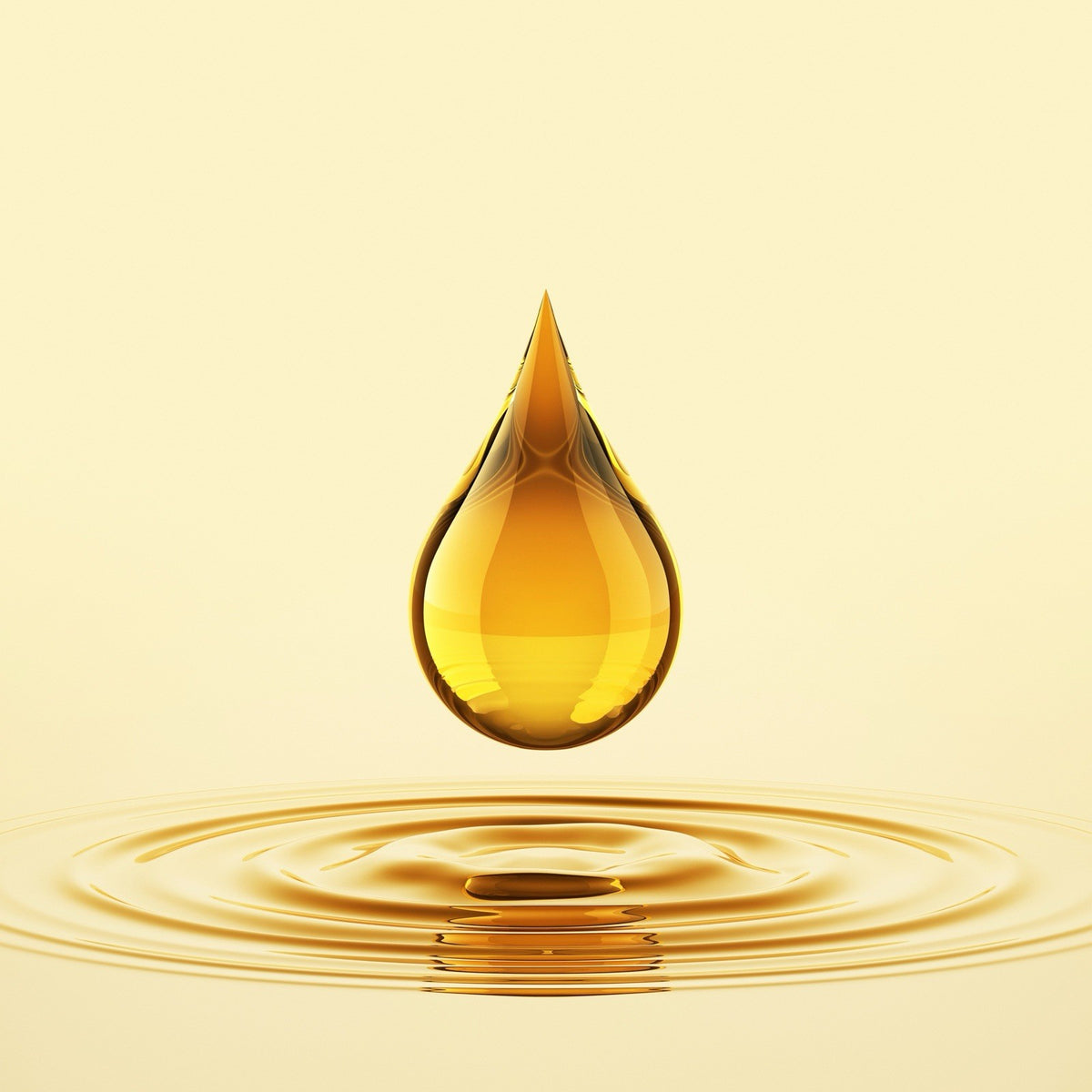 Brazil Nut Body Oil 4 fl oz - Ultra Rich Hydrating (2 Pack)