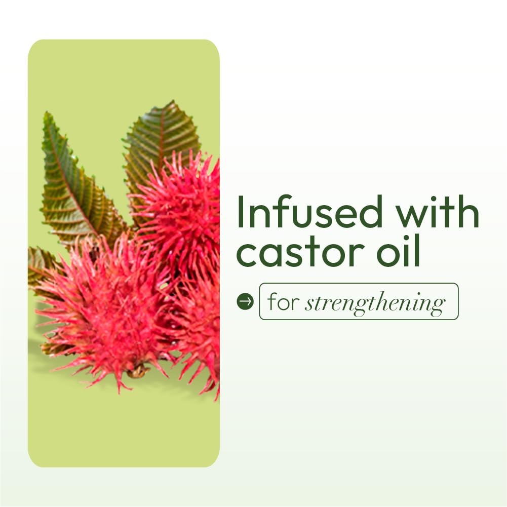 Olive Oil Fortifying Hair Cream - Nourishing Moisturizer for Dry Hair 6oz