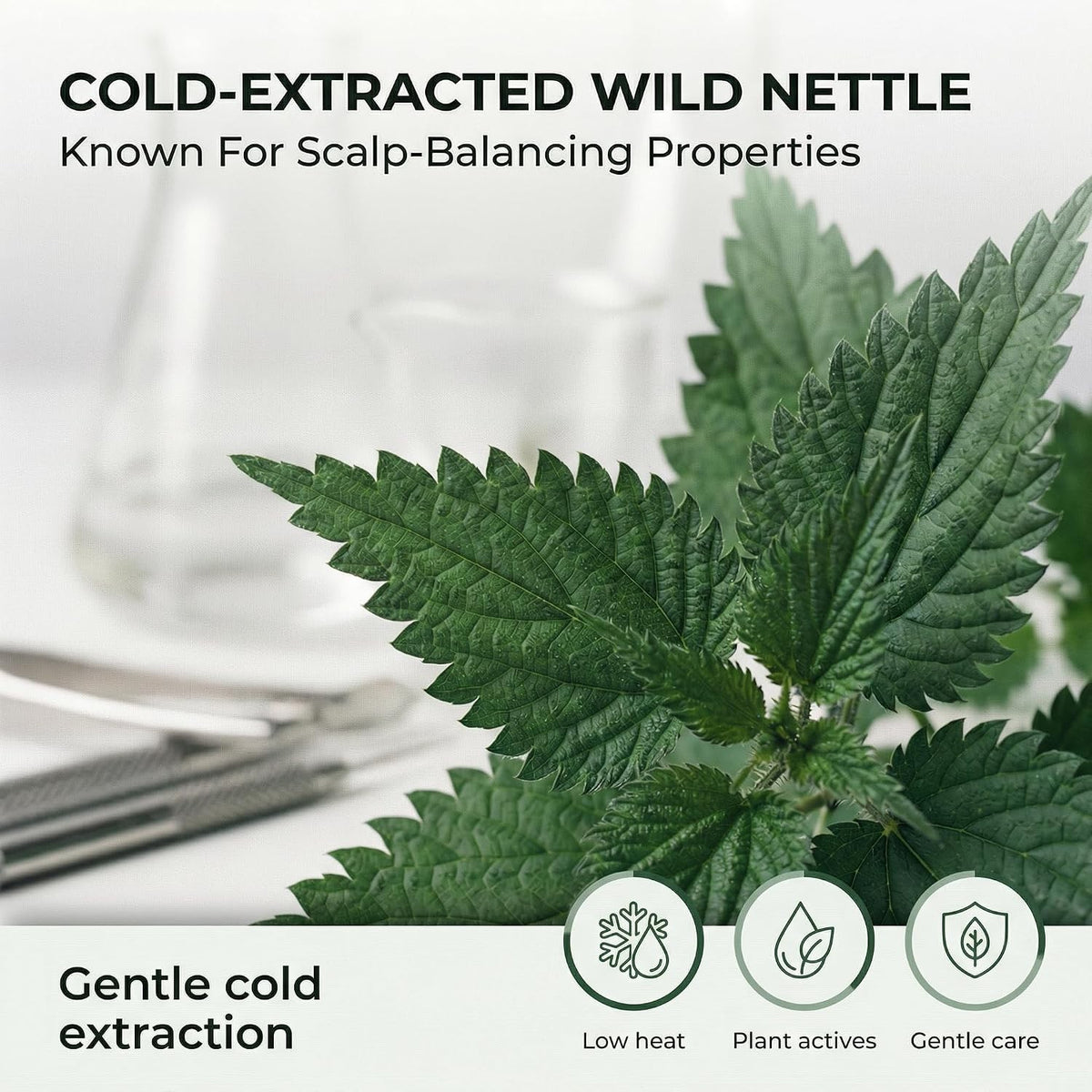 Nettle Extract Hair Tonic for Oil Control & Hair Strengthening - Sebum Regulating Lotion