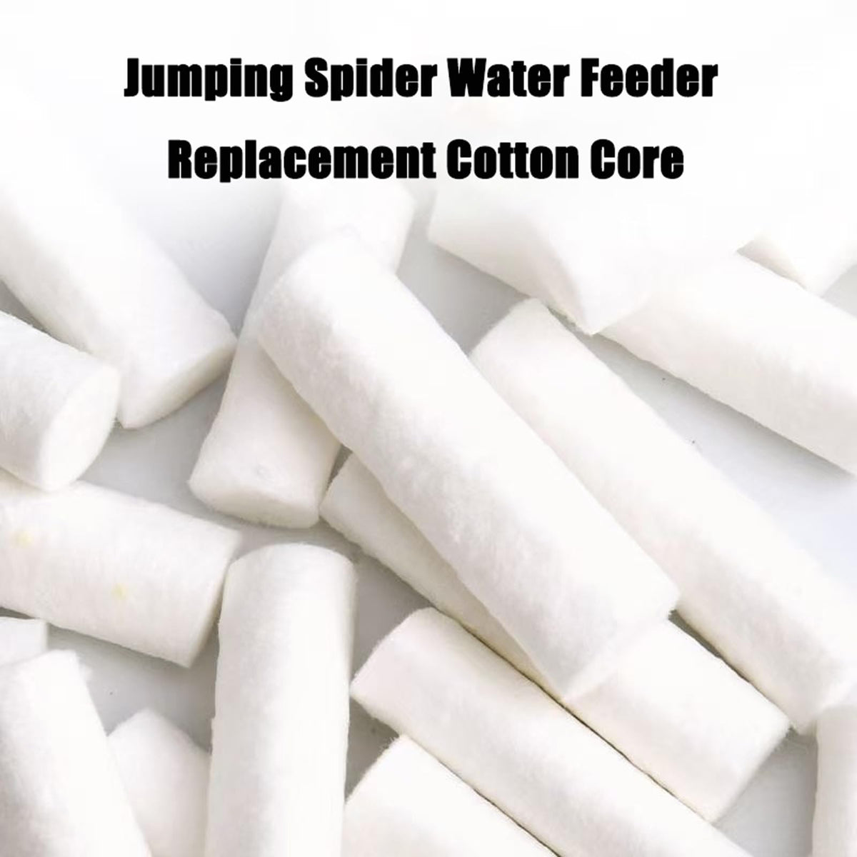 30 Pack Jumping Spider Water Fountain Cotton Swabs - Safe Absorbent Replacements
