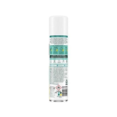 2 Pack Dry Shampoo Classic Clean 3.81 Oz for Instant Hair Refresh