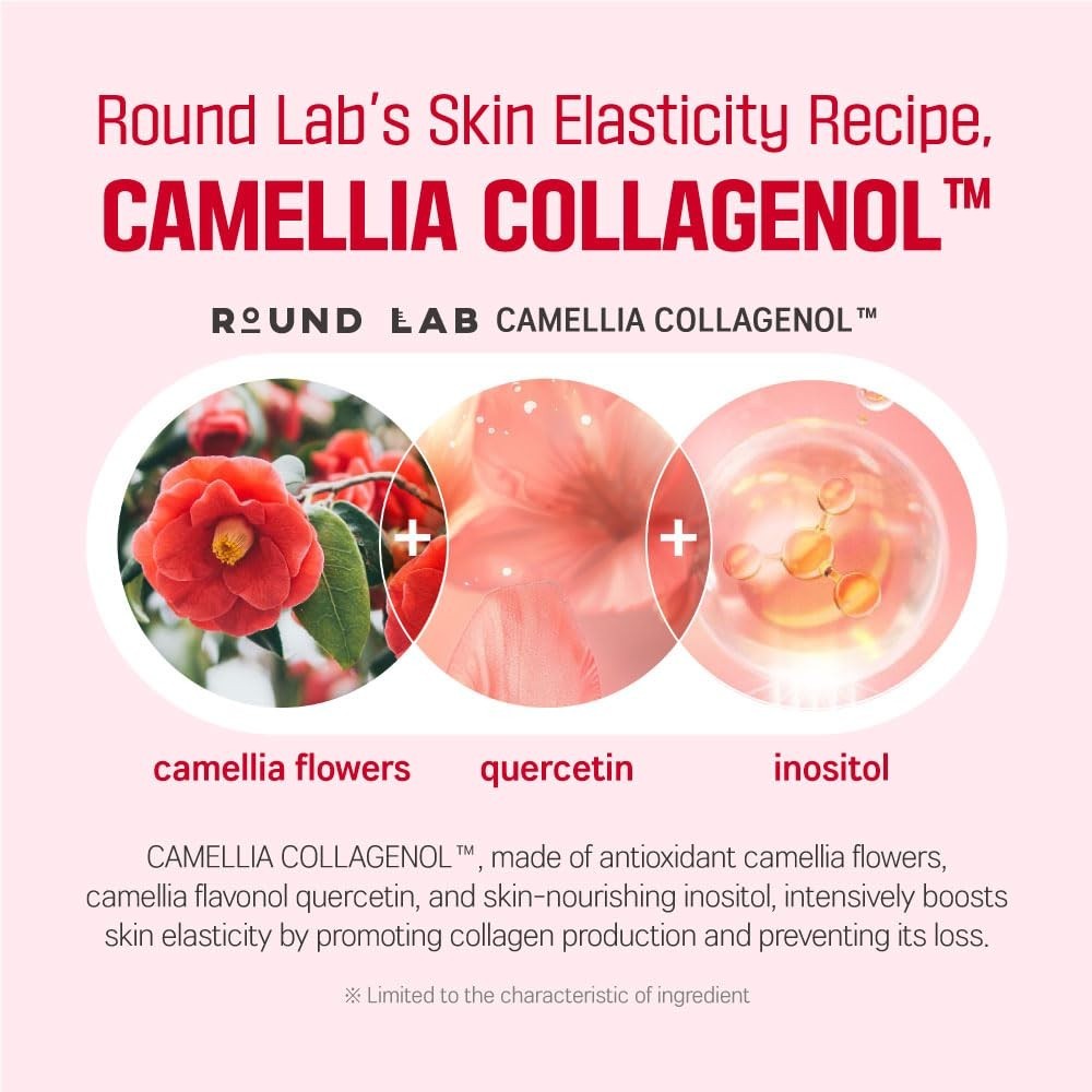 Deep Collagen Firming Cream with Camellia Oil - 50ml