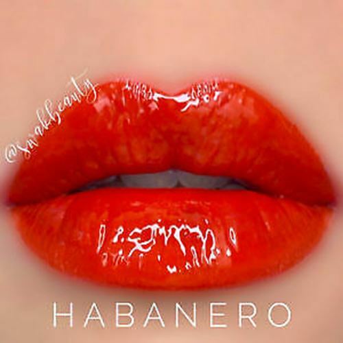Long-Lasting Lip Color & Gloss Set - All Shades, Smudge-Proof & Waterproof