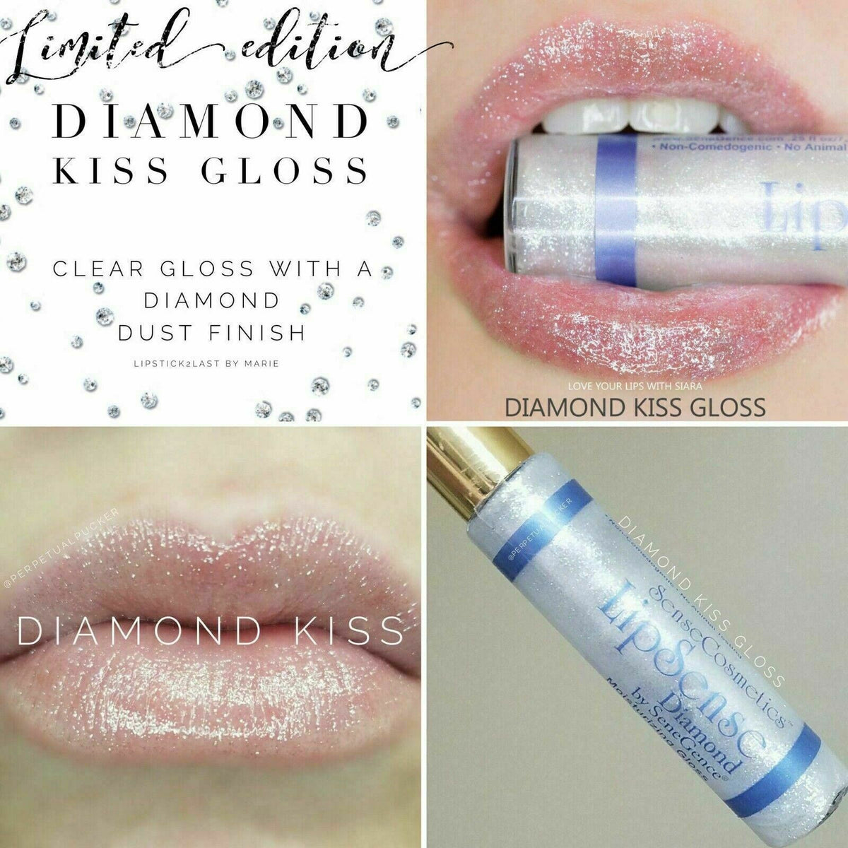 Long-Lasting Lip Color & Gloss Set - All Shades, Smudge-Proof & Waterproof