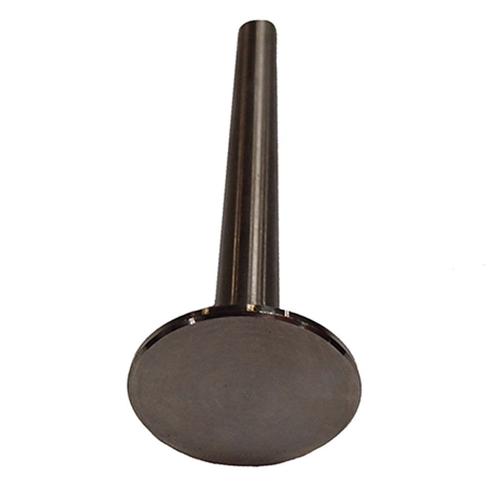 Intake Valve for Massey Ferguson TE20 TO20 1751518M1 Replacement Part