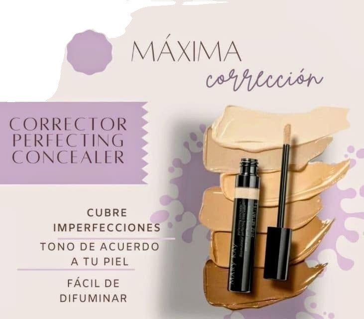 Perfecting Concealer for Under Eye - 6g, Multiple Shades, Light Reflecting Technology