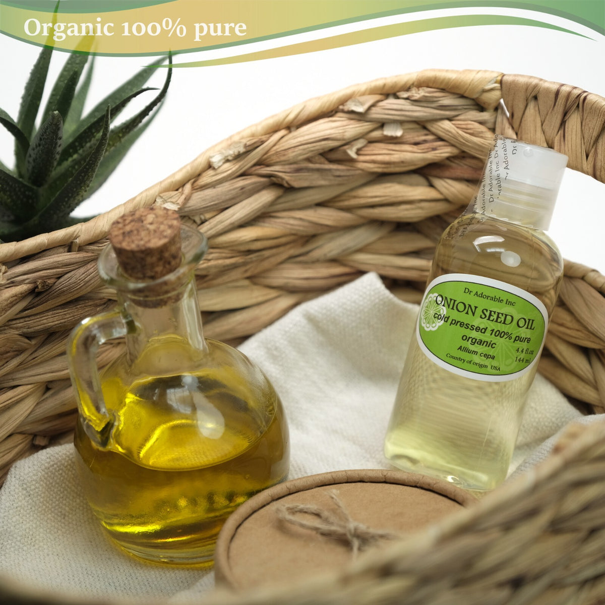 Organic Onion Seed Oil for Hair & Skin Care - Cold Pressed, 2oz to 7lb