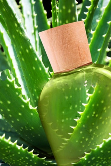 Pure Aloe Vera Gel - 100% Organic Moisturizer