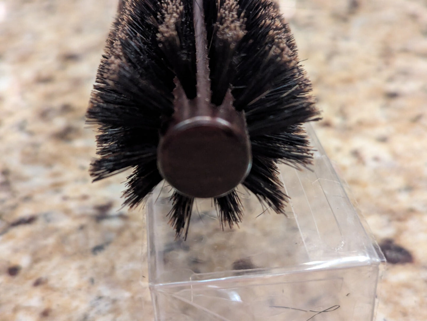 Round Boar Bristle Hair Brush 1.8 Inch for Blow Drying Natural Wooden Handle