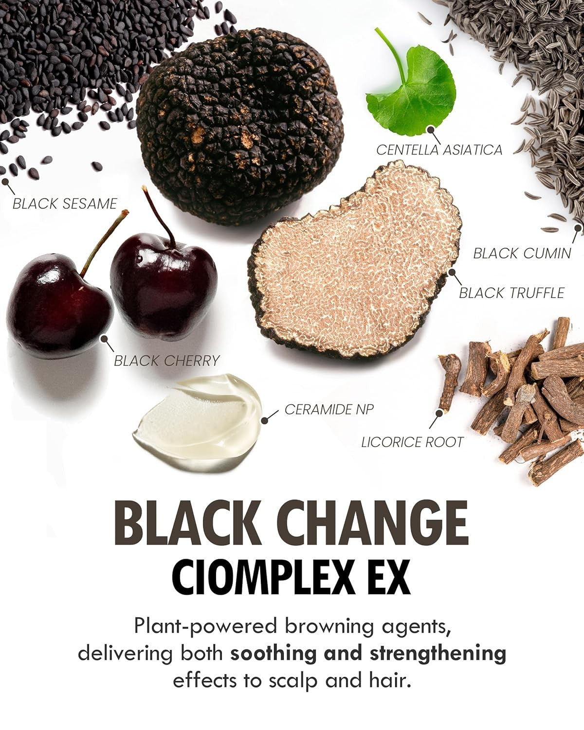 Darkening Black Hair Shampoo for Gray Hair - Natural Nourishing Formula