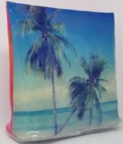 Victoria's Secret PINK Vacay All Day Cosmetic Travel Bag Jelly PVC Palm